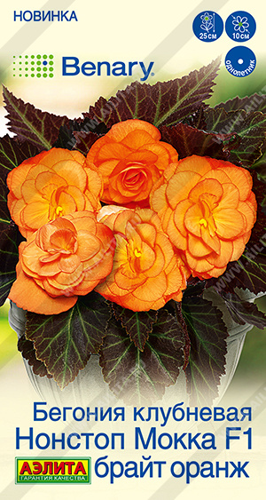 Нонстоп мокка брайт оранж