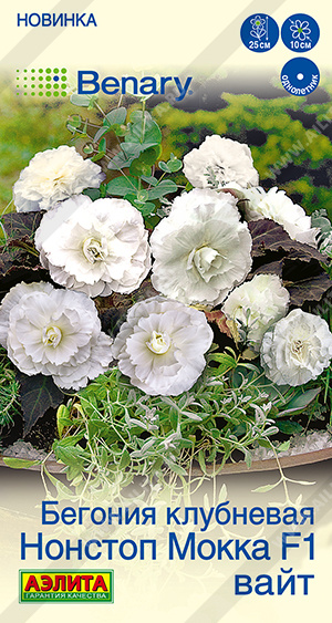 Нонстоп мокка вайт