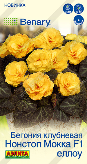 Нонстоп мокка еллоу