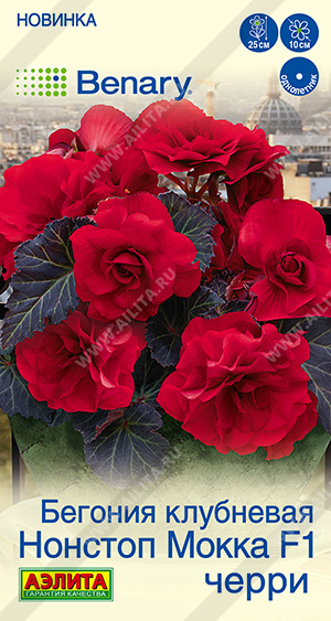 Нонстоп мокка черри