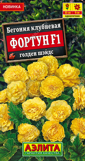 Фортун голден шэйдс