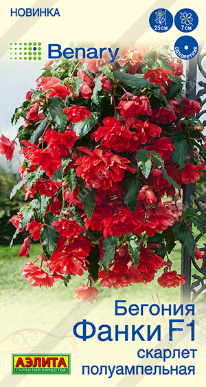 Фанки Скарлет