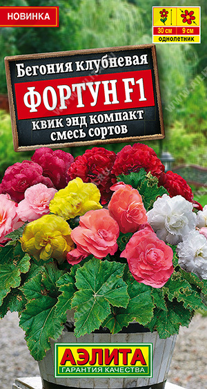 Фортун квик энд компак