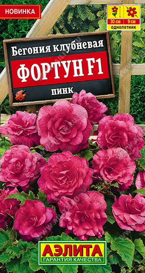 Фортун пинк