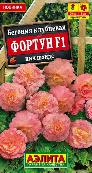 Фортун пич шэйдс