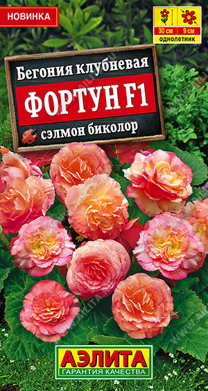 Фортун сэлмон биколор