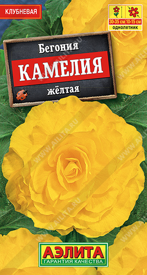 Камелия желтая