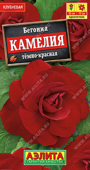 Камелия темно-красная