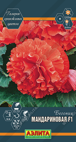 Мандариновая