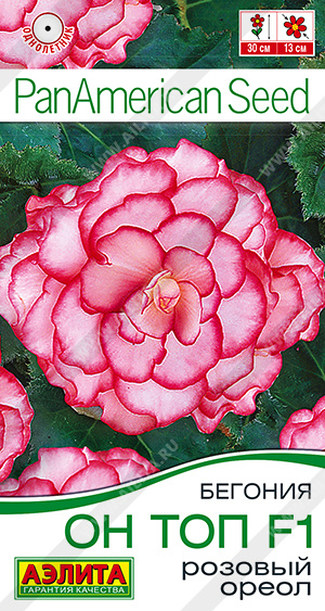 Он Топ розовый ореол