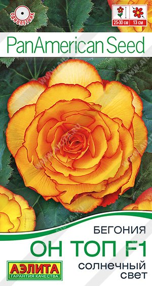 Он Топ солнечный свет