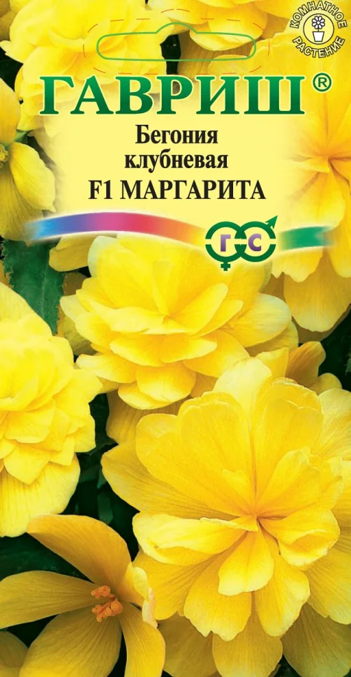 Маргарита