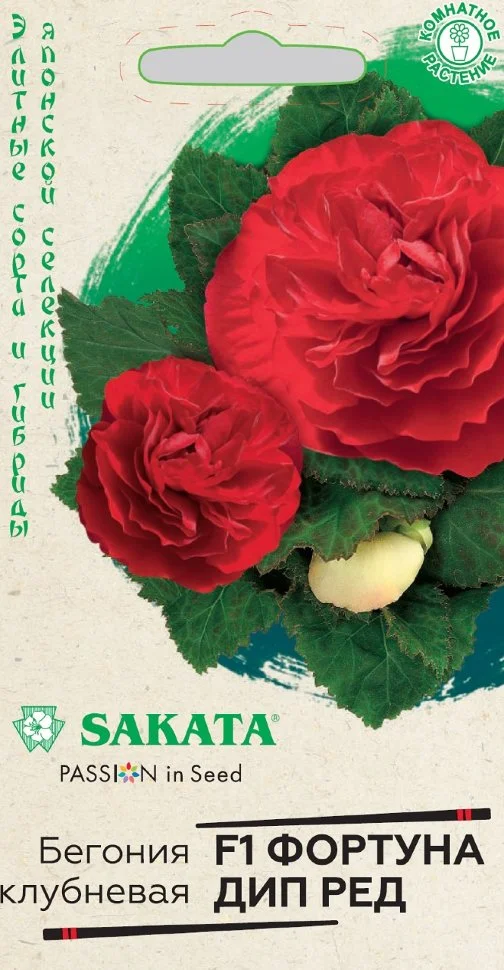 Фортуна Дип Ред