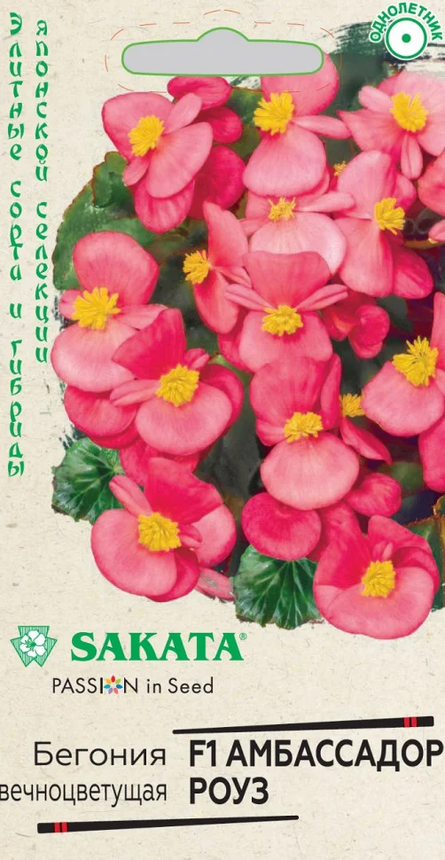 Амбассадор Роуз