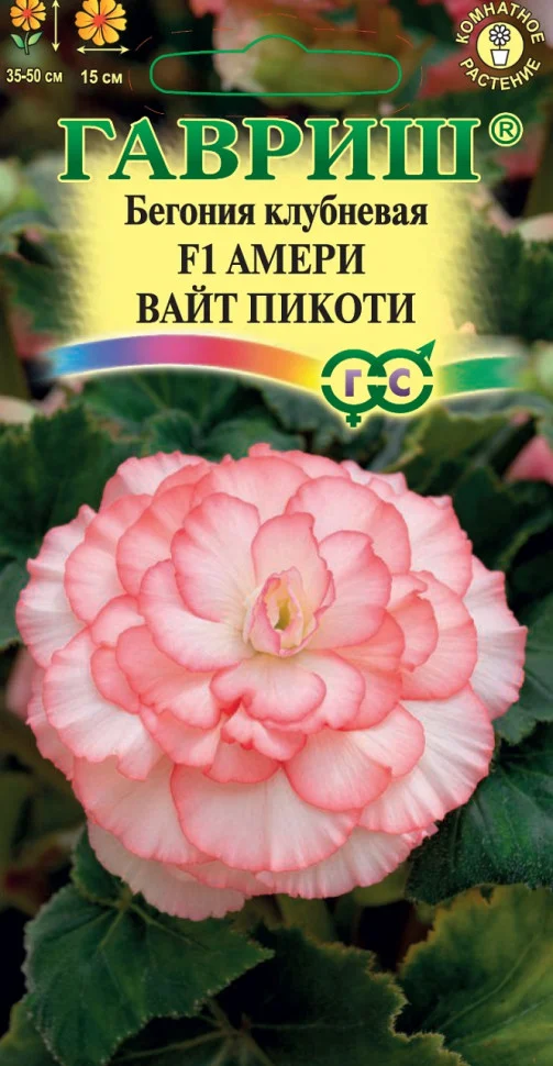 Амери вайт пикоти 