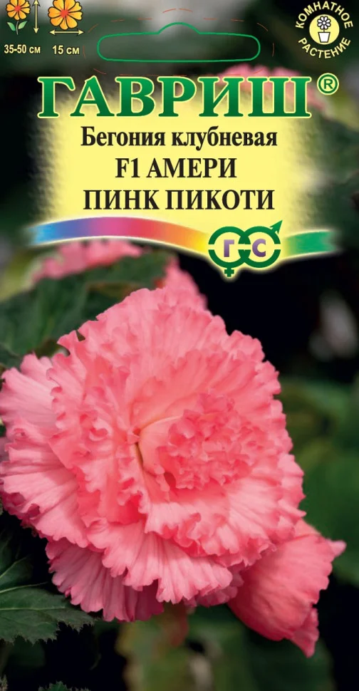 Амери пинк пикоти