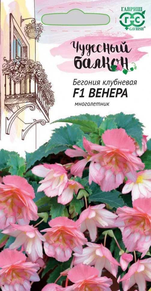 Венера 