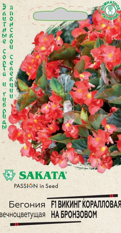 Викинг коралловая на бронзовом 