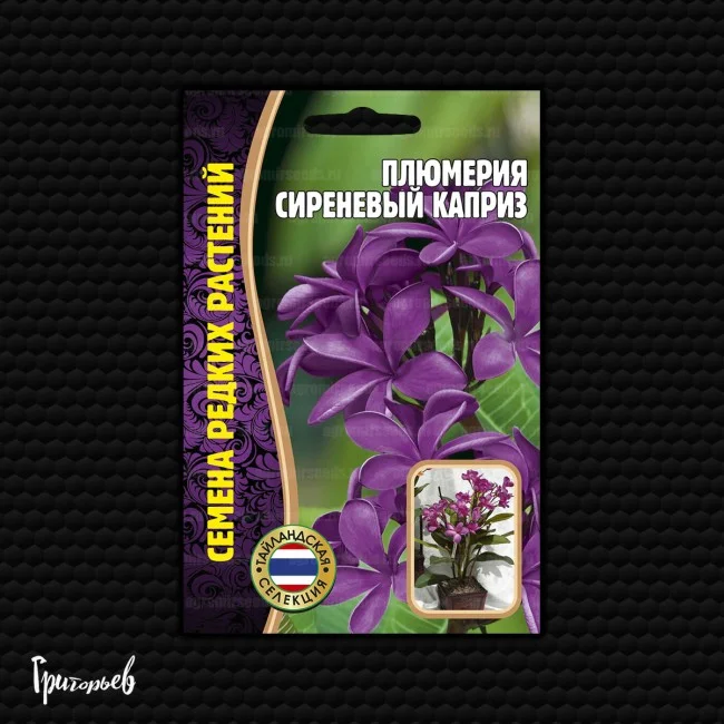 Сиреневый Каприз