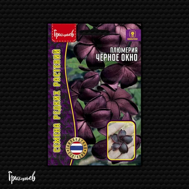 Черное Окно