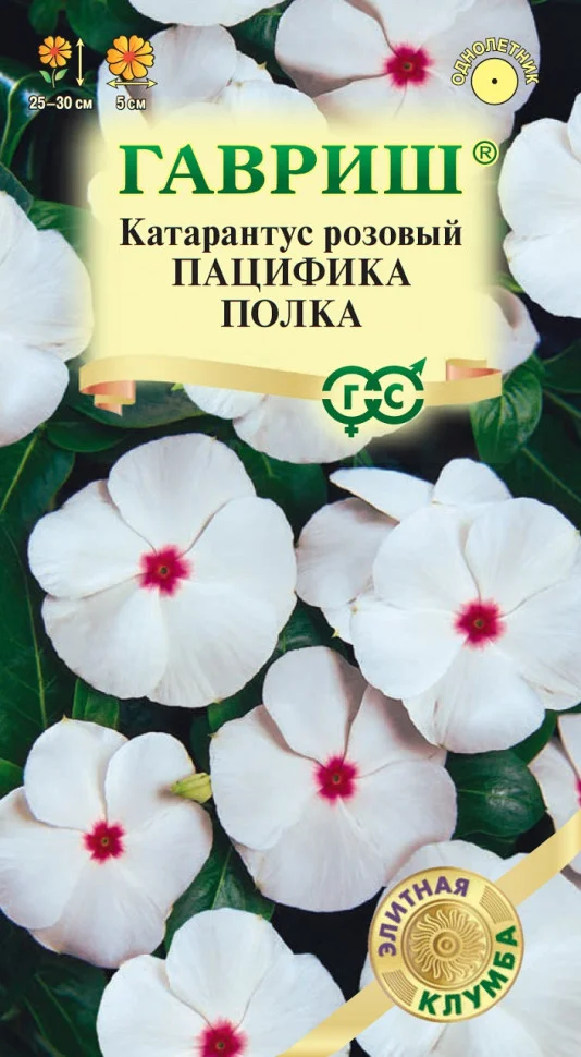 Пацифика Полка