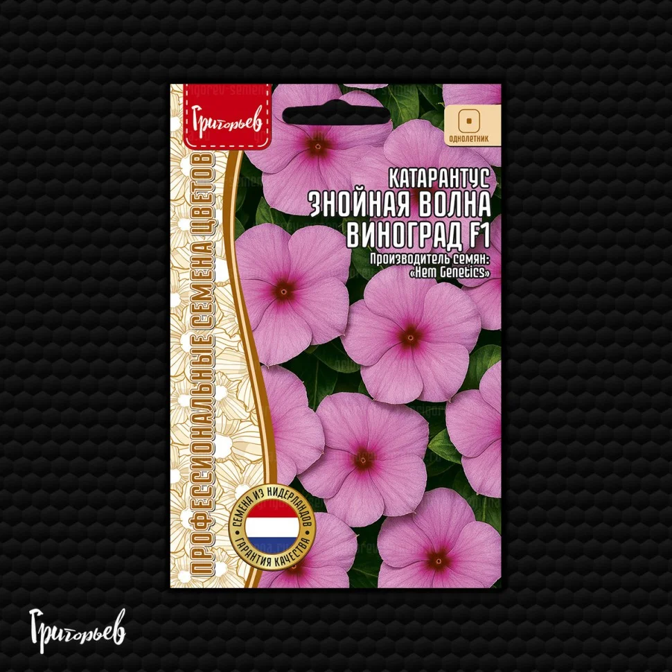 Знойная Волна Виноград