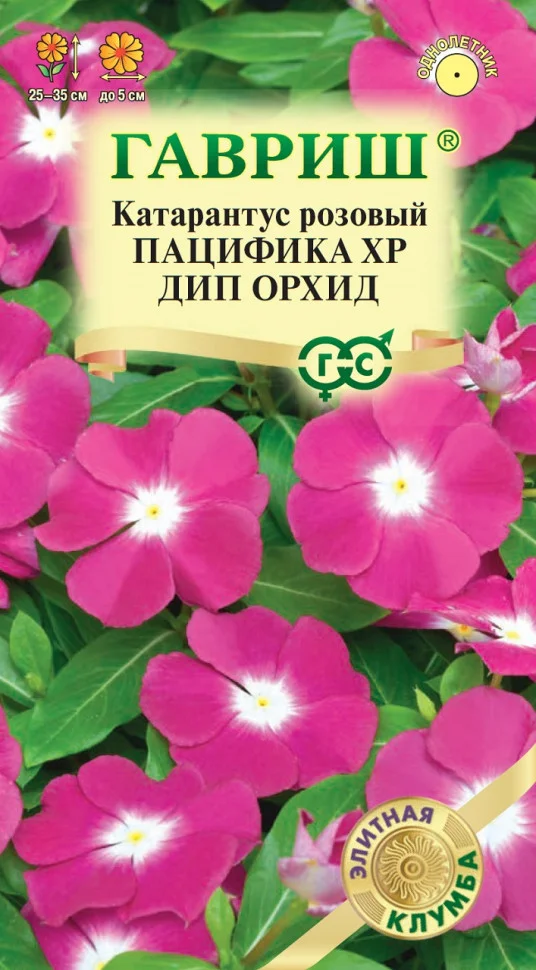 Пацифика XP Дип Орхид