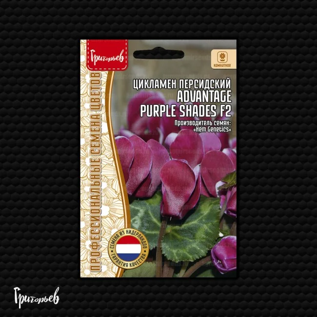 Advantage Purple Shades