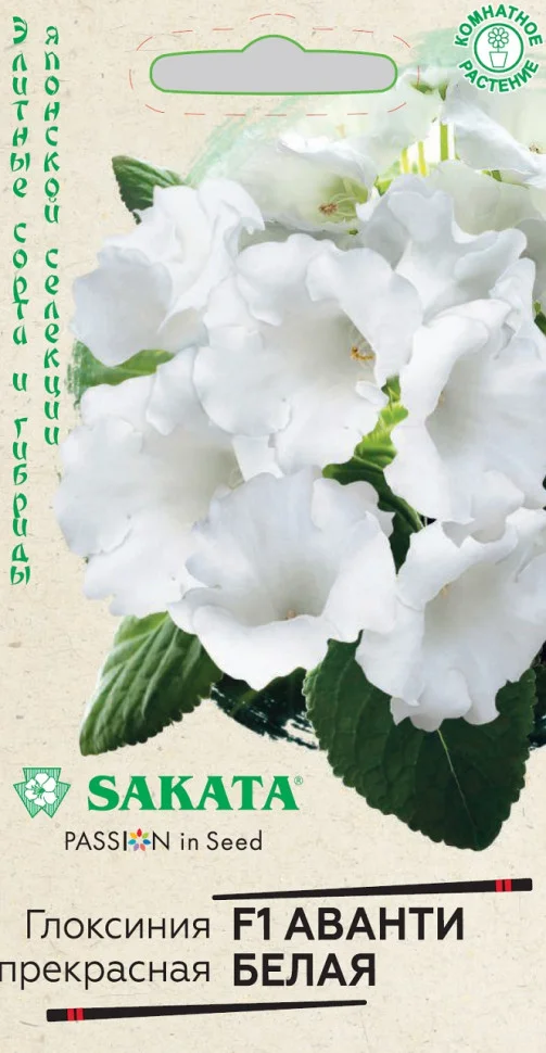 Аванти белая