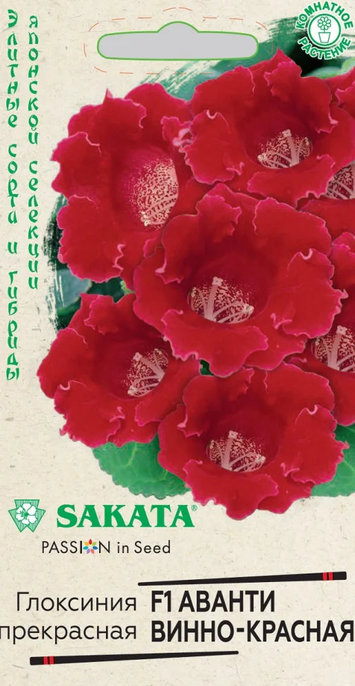 Аванти винно-красная