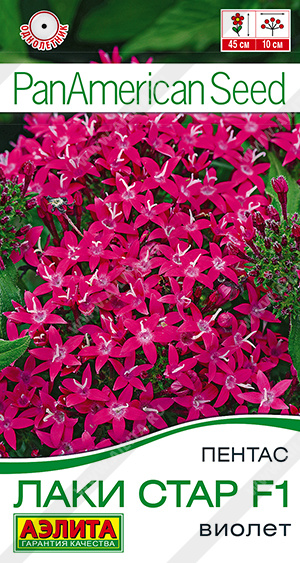 Лаки стар F1 виолет