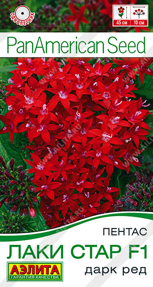 Лаки стар F1 дарк ред