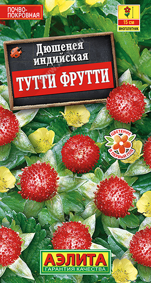 Тутти Фрутти