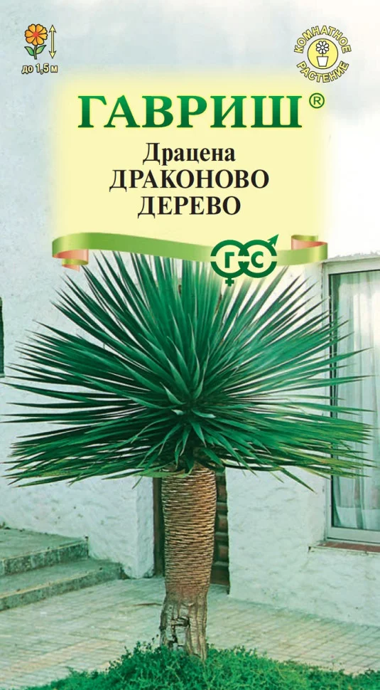 Драконово Дерево