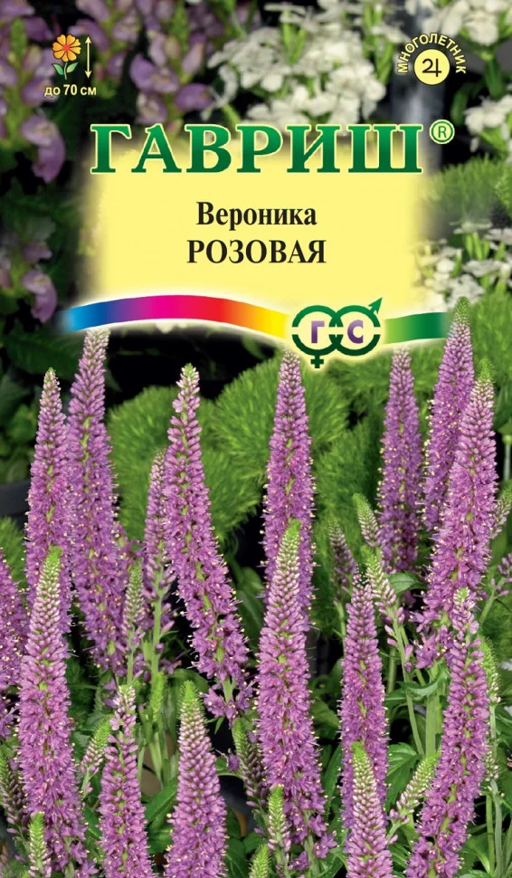 Розовая длиннолистная