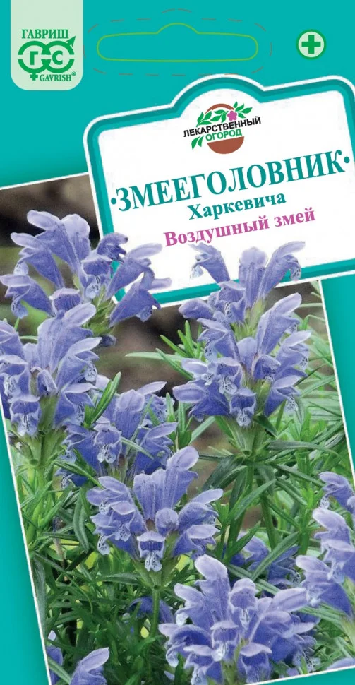 Воздушный змей