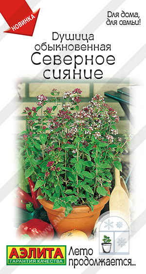 Северное сияние