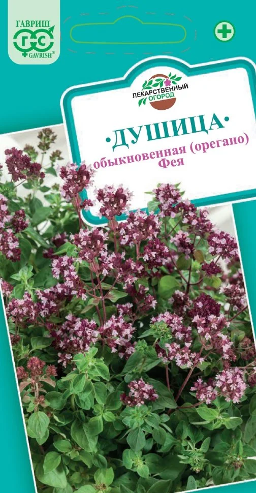 Миниатюра изображения сорта Фея