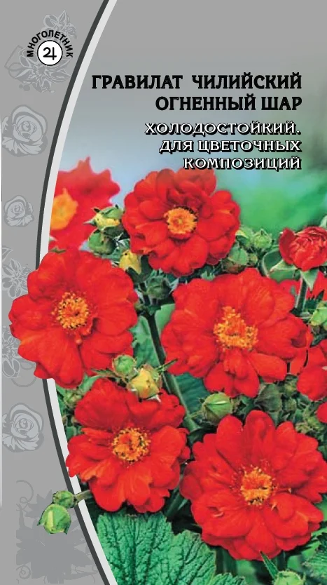 Миниатюра изображения сорта Огненный шар