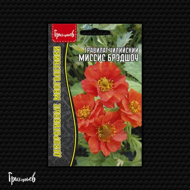 Миссис Брэдшоу