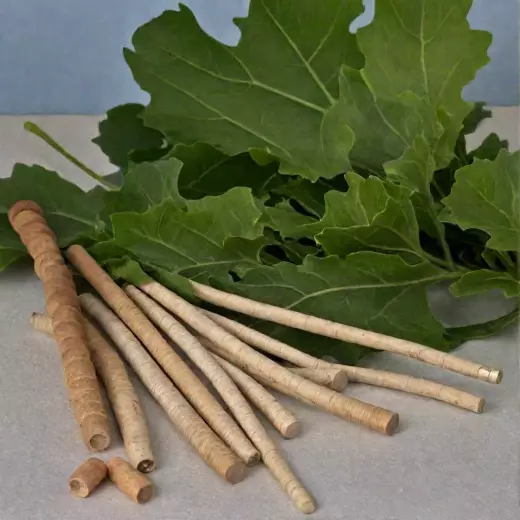 Катран (хрен)