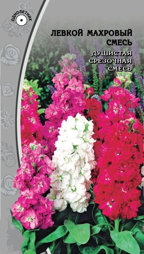 Крупноцветковый смесь