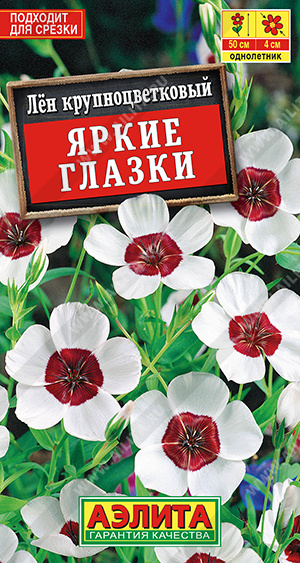 Яркие глазки