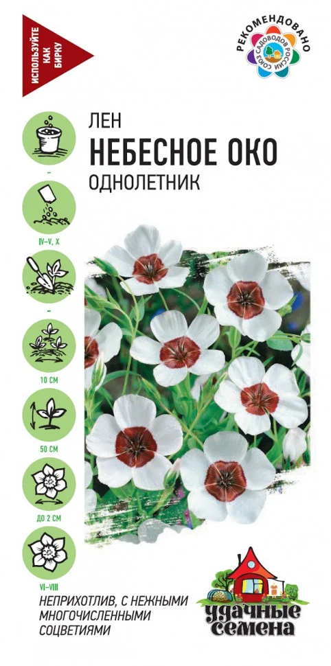 Небесное око крупноцветковая