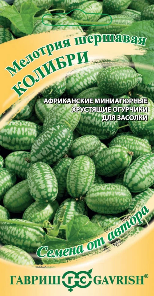 Колибри