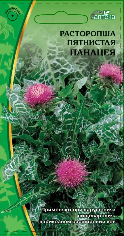 Миниатюра изображения сорта Пнацея