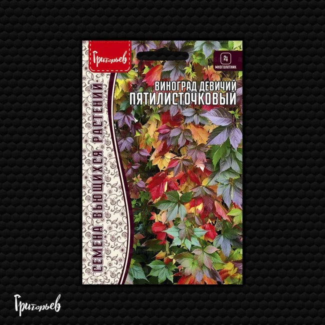 Пятилисточковый девичий