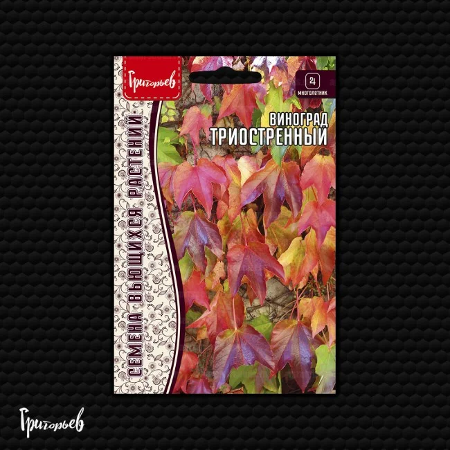 Триострённый девичий