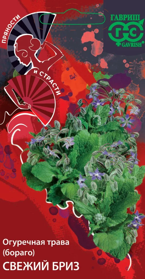 Свежий бриз 