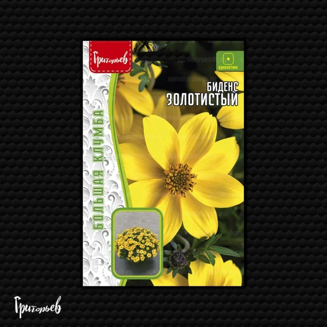 Золотистый